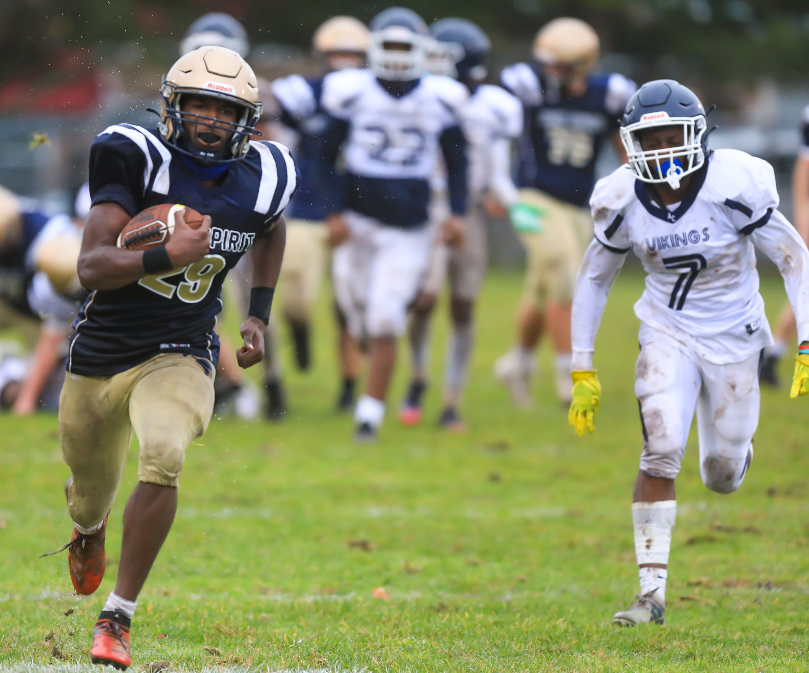 spt_HSFB